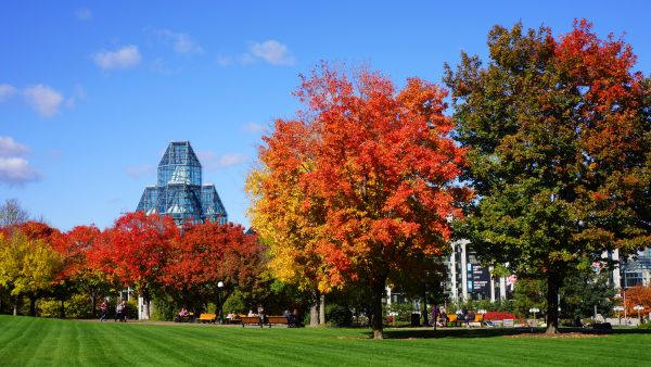 National Gallery of Canada Major's Hill Park fall DSC05346 credit Ottawa Tourism