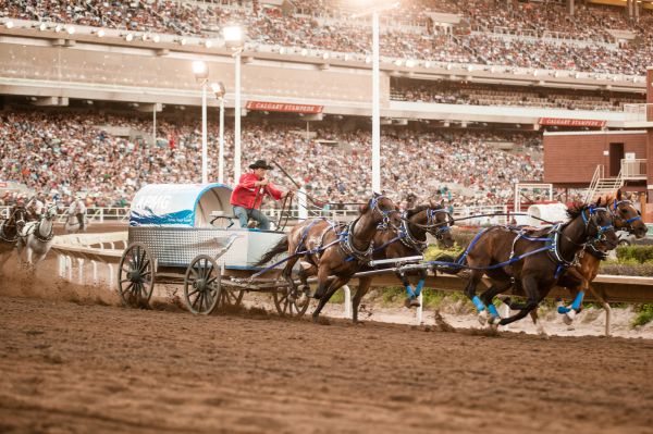 Calgary Stampede_Tourism Calgary