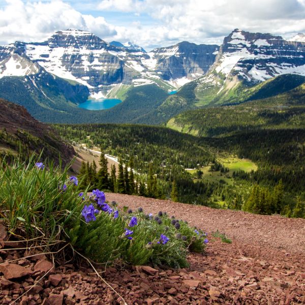 Banff & lake Louise Summer