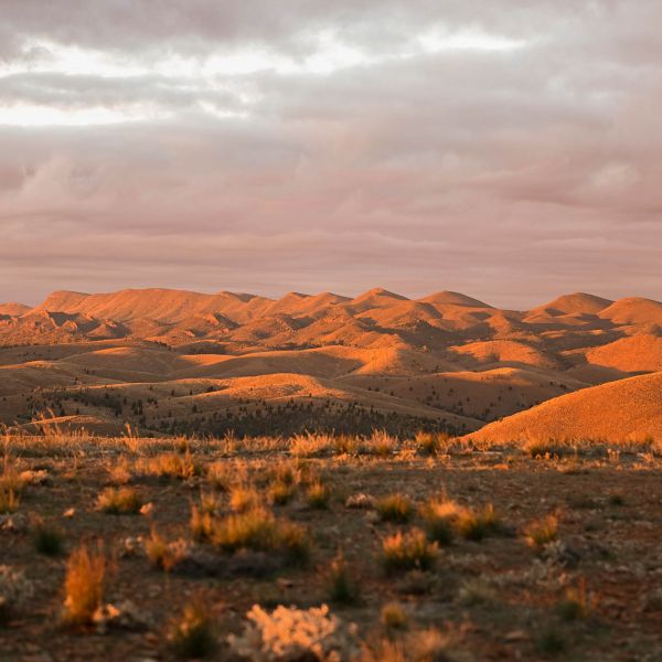 Flinders Ranges and Outback