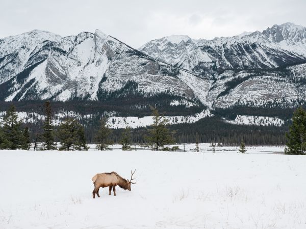 Banff_Travel Alberta a20-022787