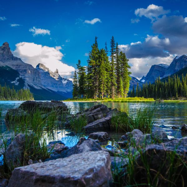 Jasper National Park Summer