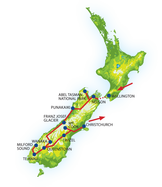 Mount Cook Lily_Pure Discoveries