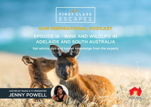 Wine and Wildlife In Adelaide and South Australia