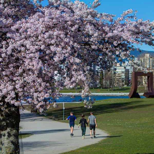 Vancouver Spring