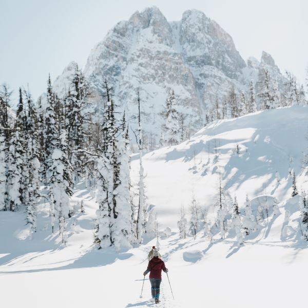Banff Snowshoeing