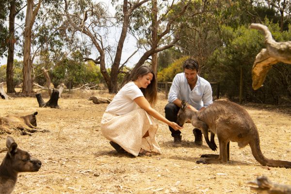 Kangaroo Island 