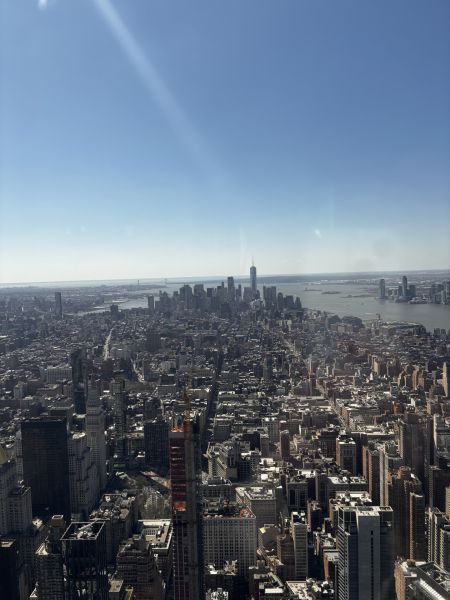 View from the Empire State Building_New York_Lorna