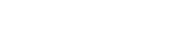 Destination Toronto Logo