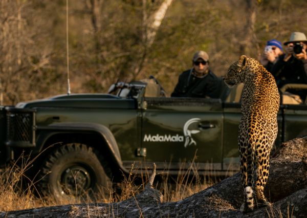 MALAMALA GAME RESERVE