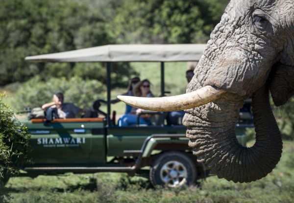 SHAMWARI GAME RESERVE