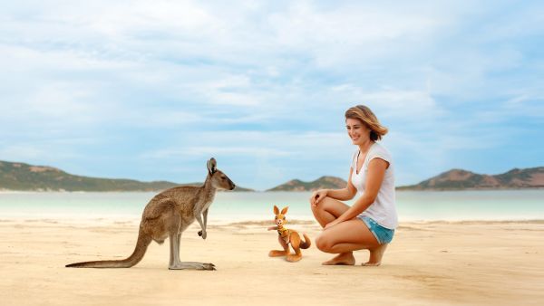 Kangaroo