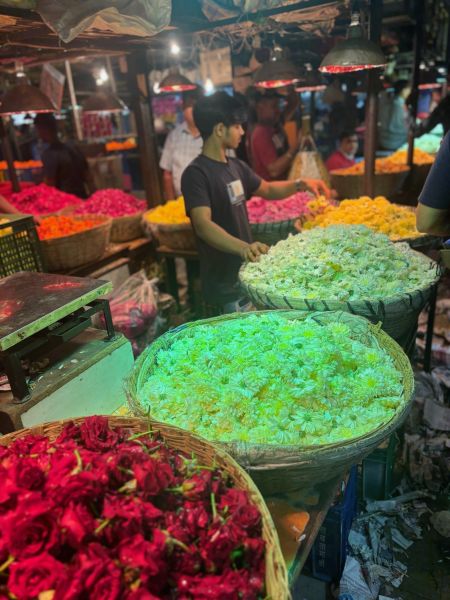 Flower Market India (DAN)
