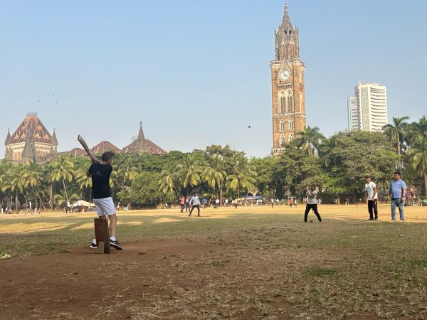 Dan playing cricket India