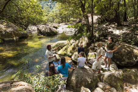 Mossman Gorge 