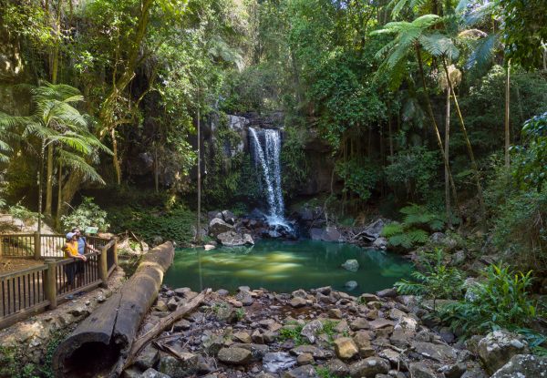  Curtis Falls, Mt Tamborine