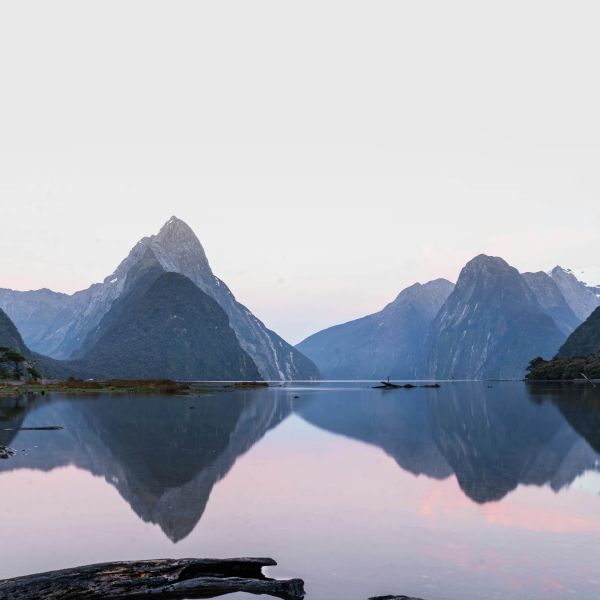 NZ