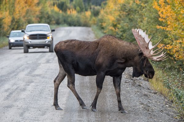 Yukon