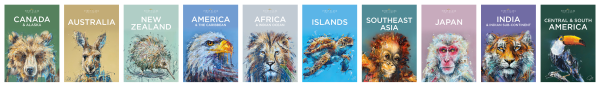 All brochure banner