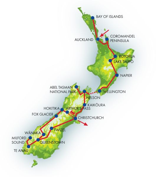 Kauri