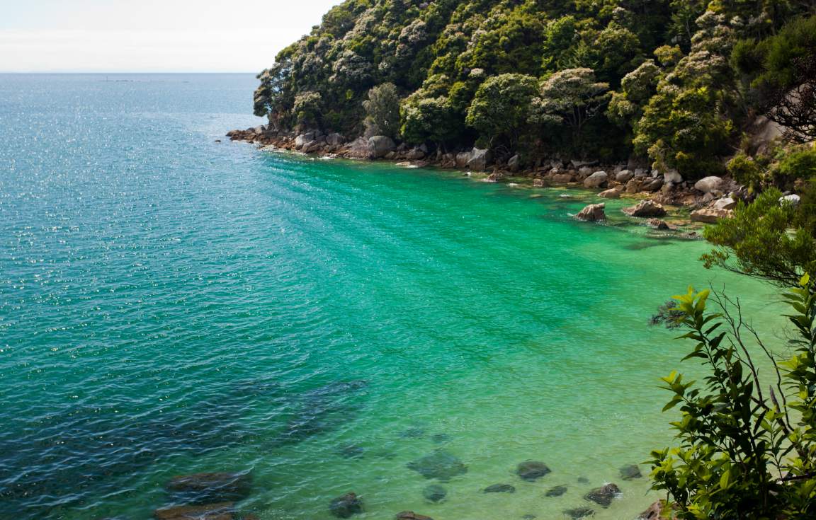 Bay in Abel Tasman