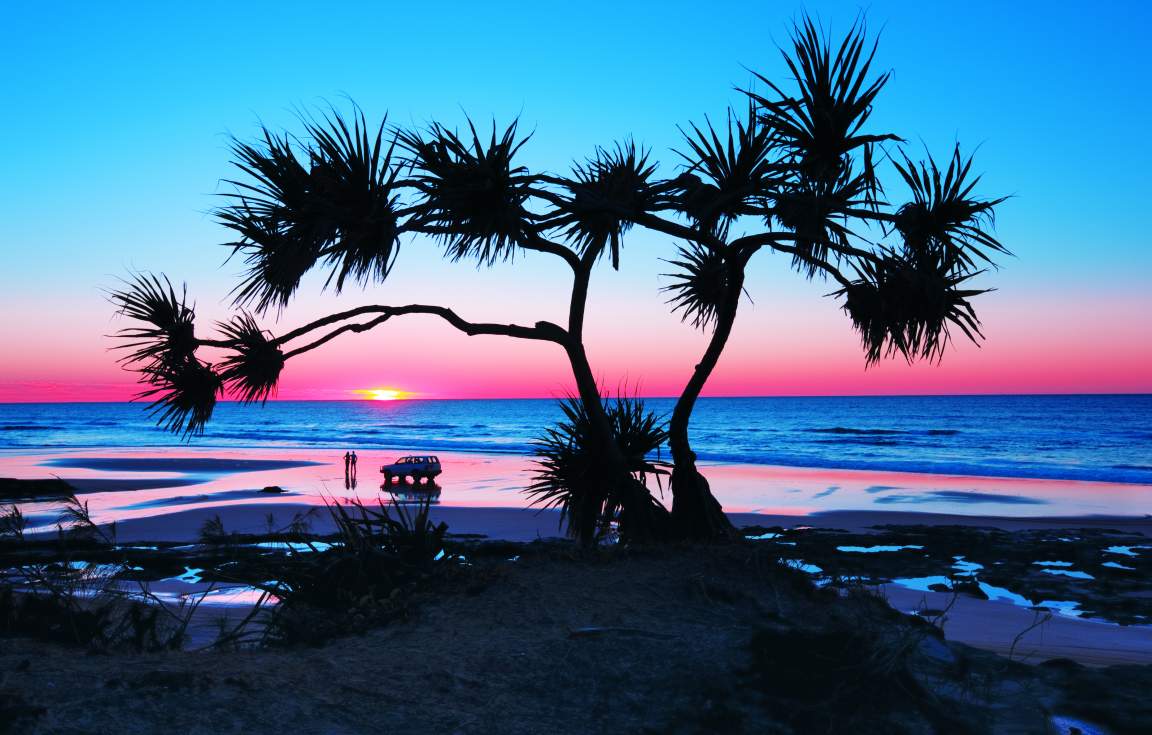  Pandanus Sunrise Fraser Island