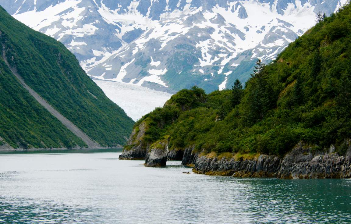 Cruise the Kenai Fjords