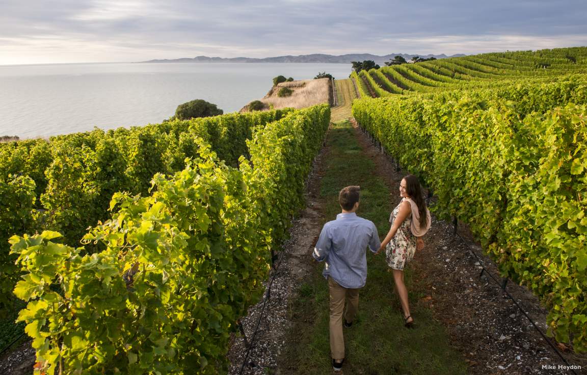 Explore Marlborough Wine Region