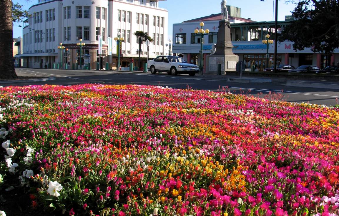 Explore Napier