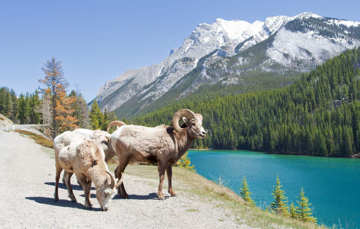 banff National Park