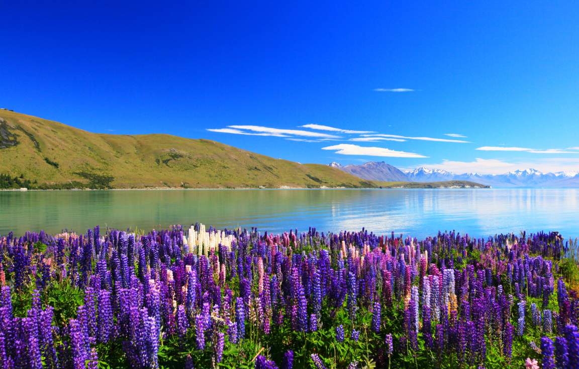 Lake Tekapo