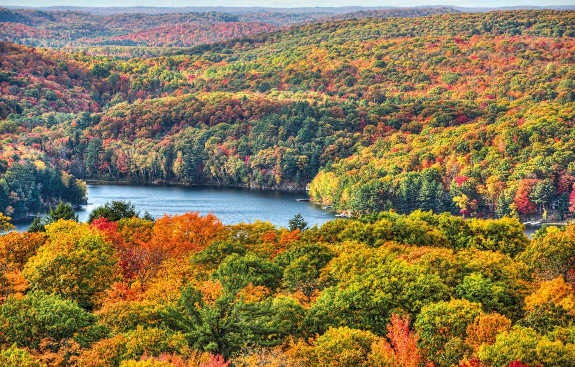 Algonquin Provincial park