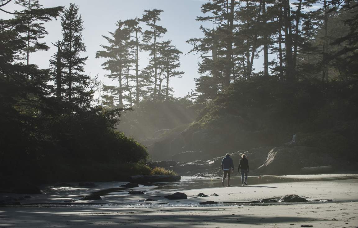 Tofino