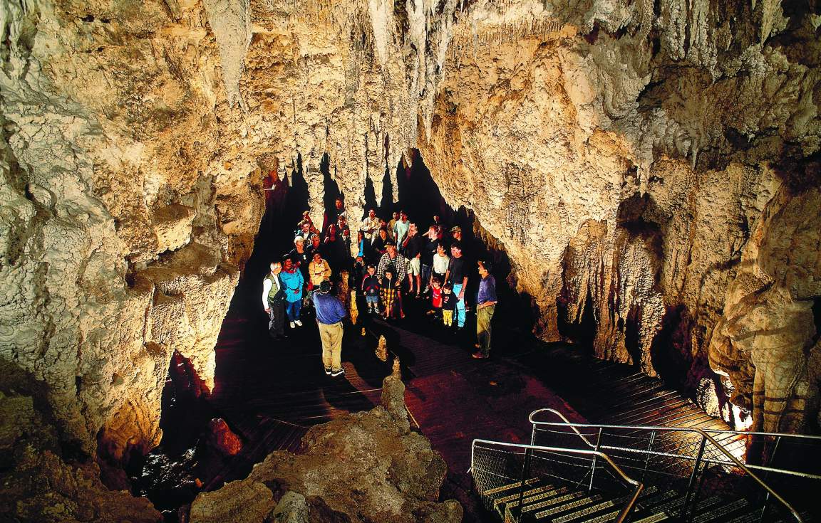 Waitomo Caves