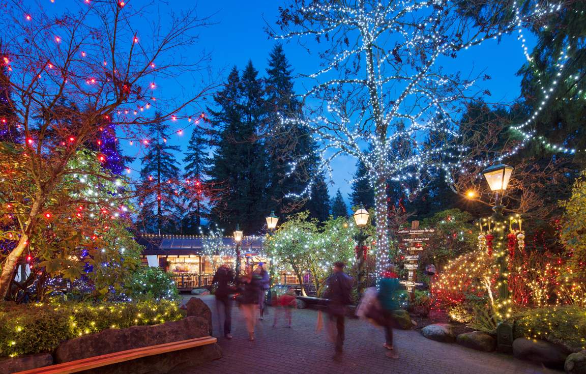 Canyon Lights Park at Capilano Suspension Bridge Park