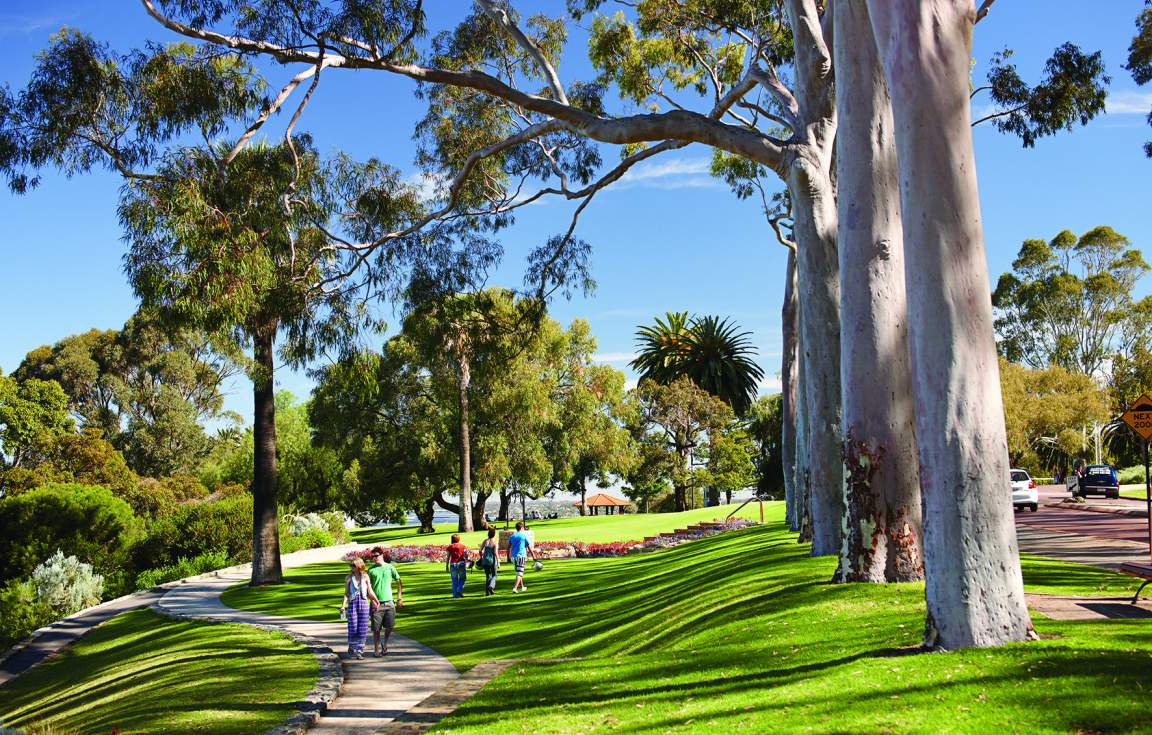 Kings Park Perth