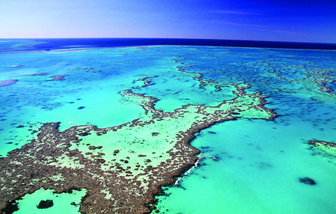 Great Barrier Reef 