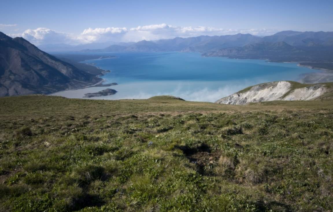 Kluane Lake - Kluane National Park 