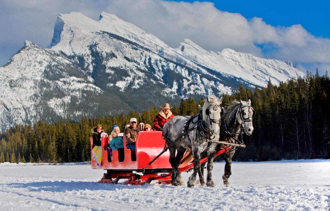 Horse drawn sleigh 