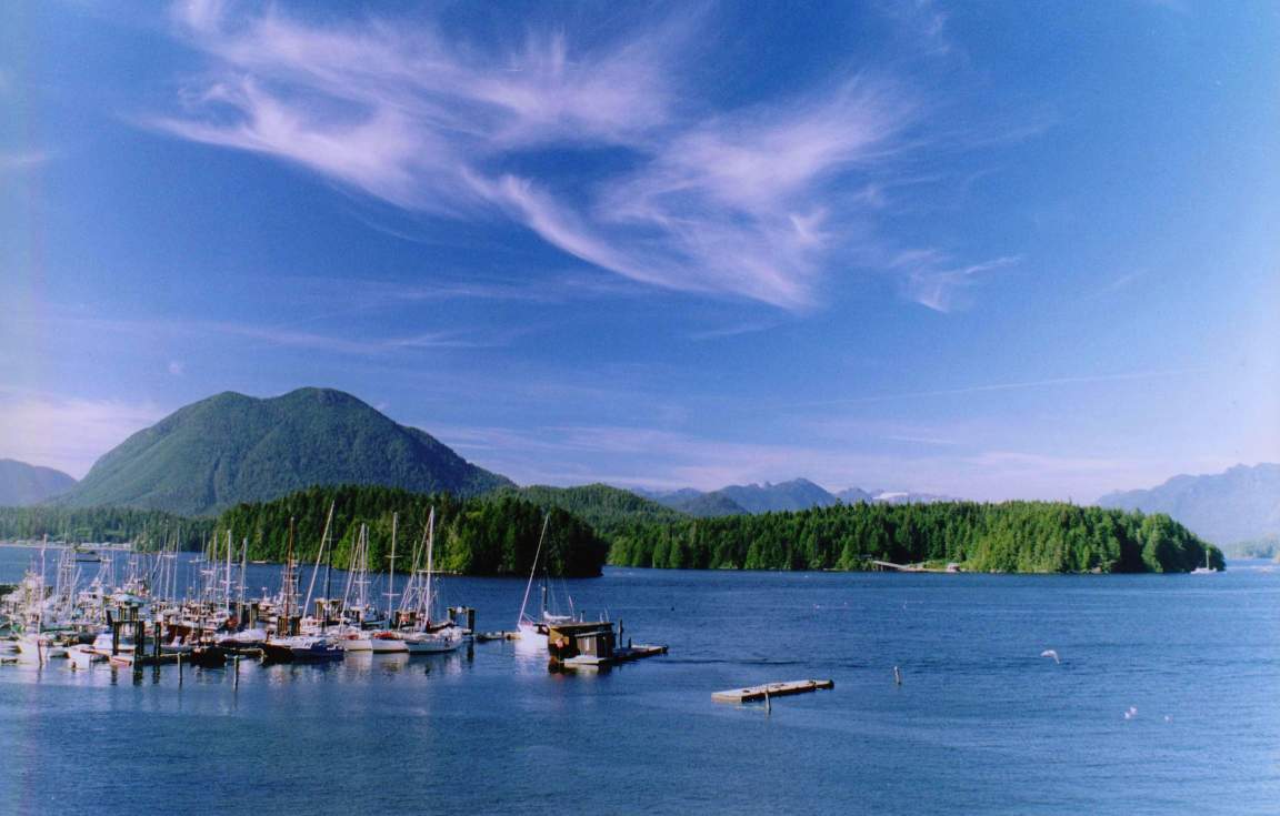 Tofino 