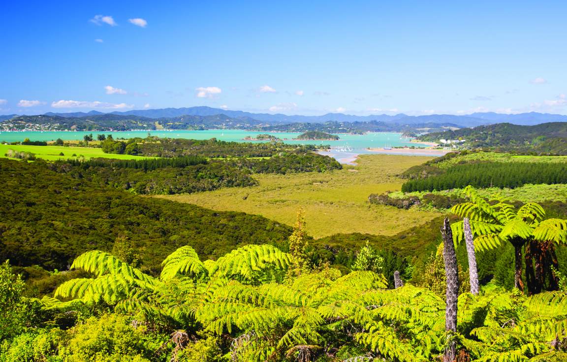 Paihia