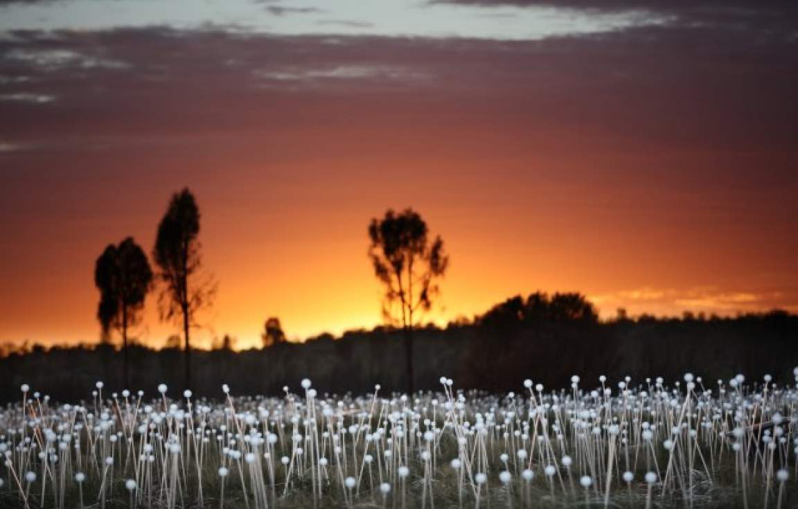 Field of Light  REF: www.ayersrockresort.com.aufieldoflight