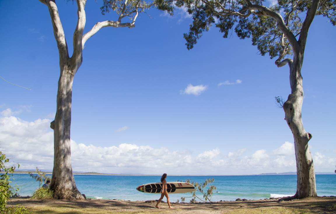 Noosa National Park 