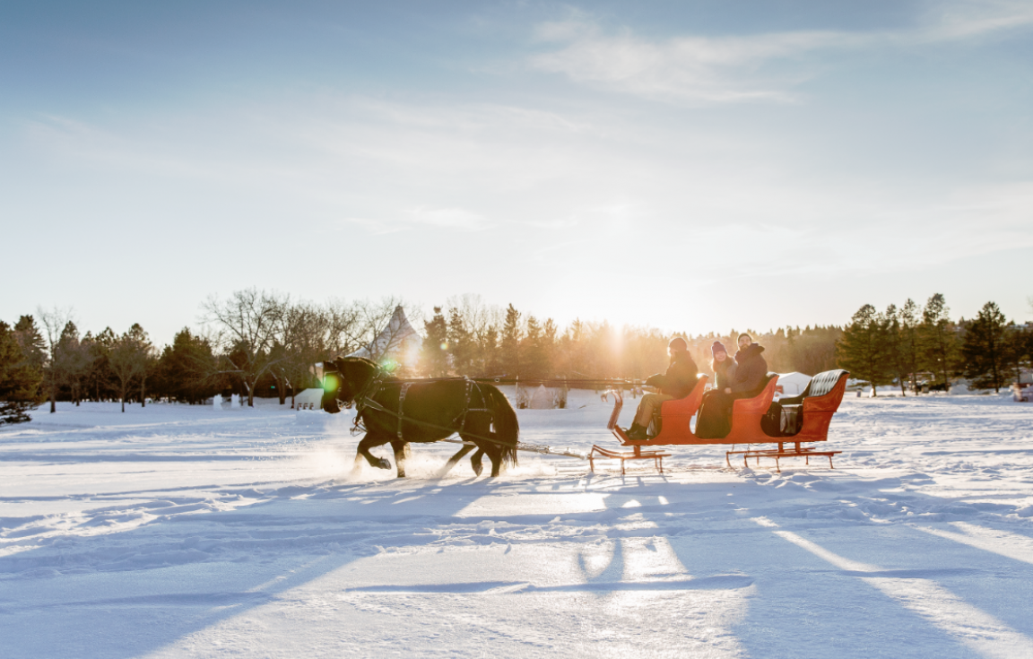 Sleigh Ride in Banff 