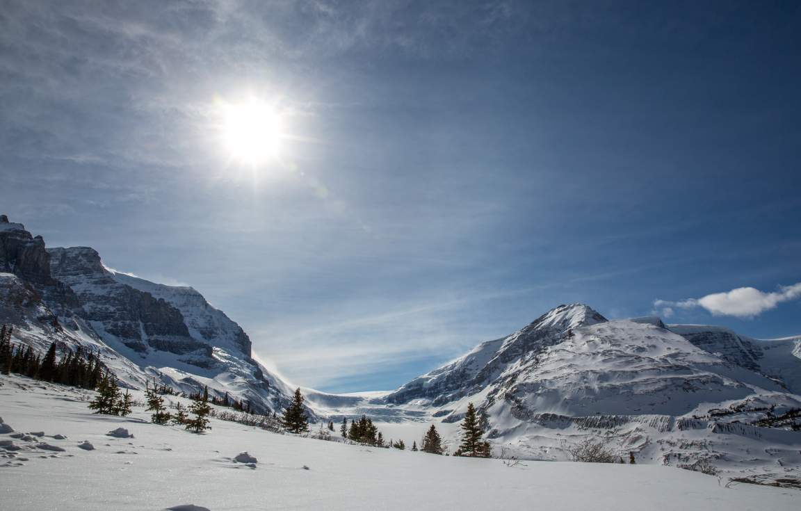 Icefields