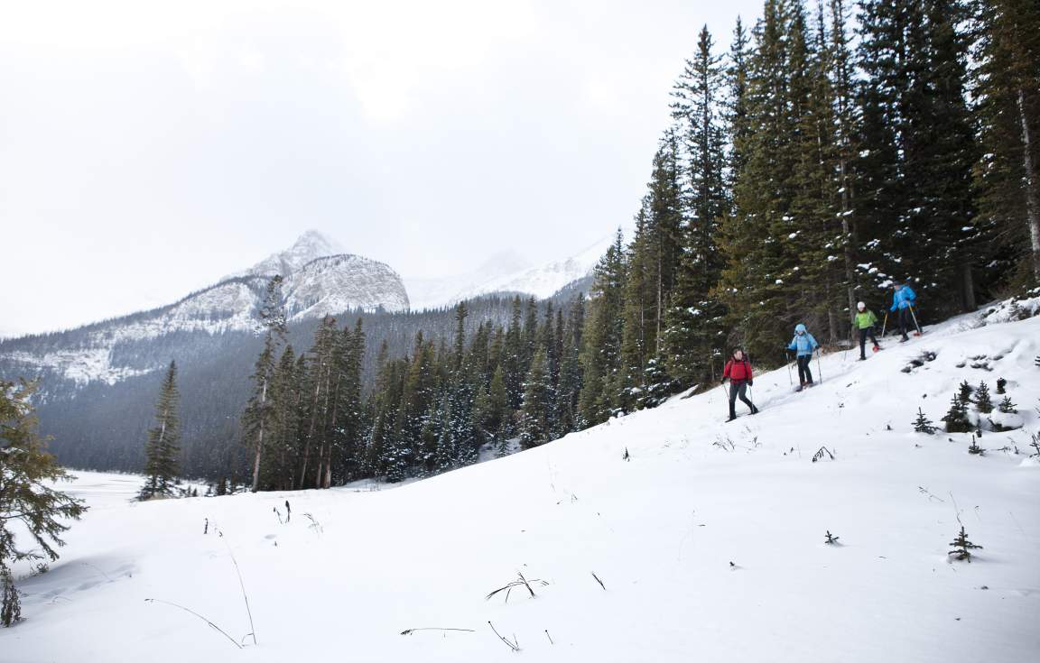 Lake Louise Winter