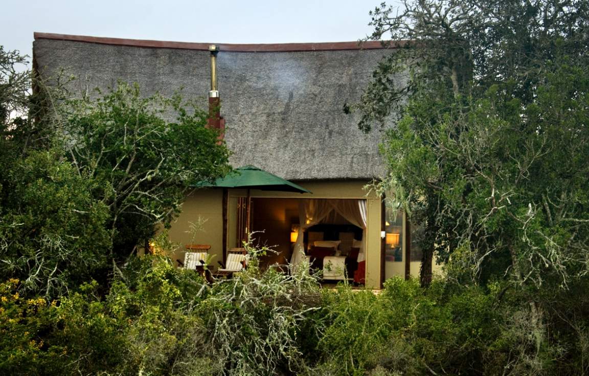 Amakhala Bush Lodge 