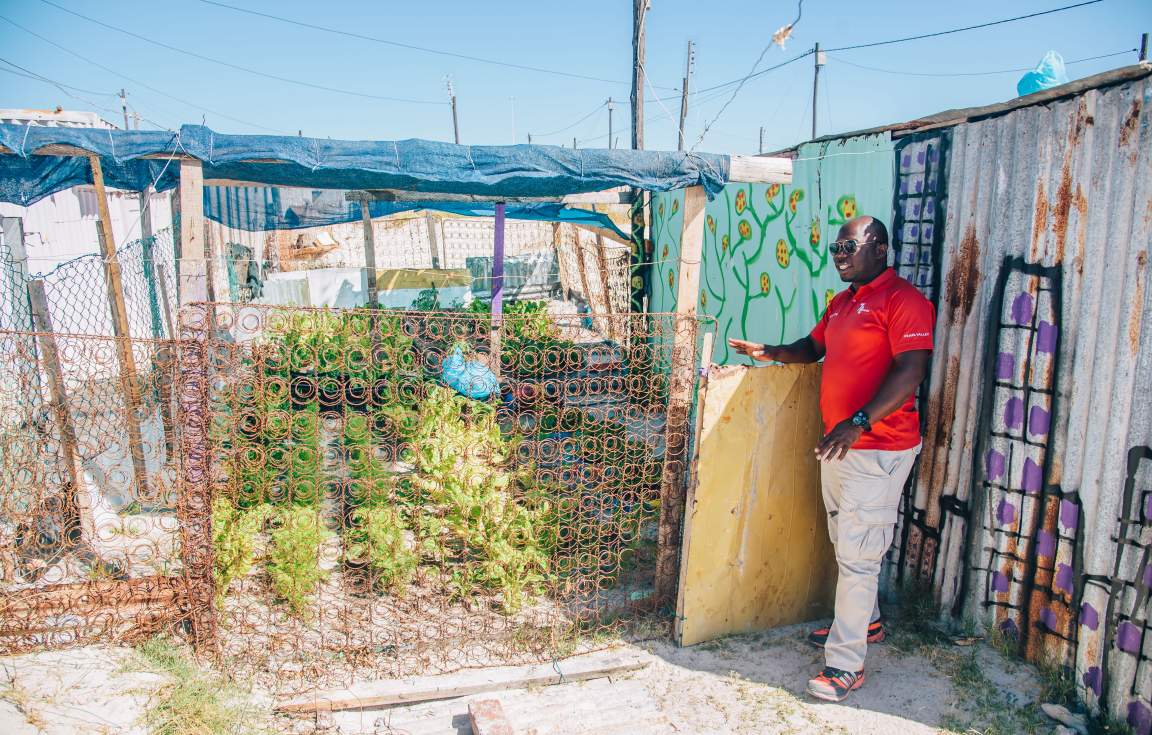 Cape town tour