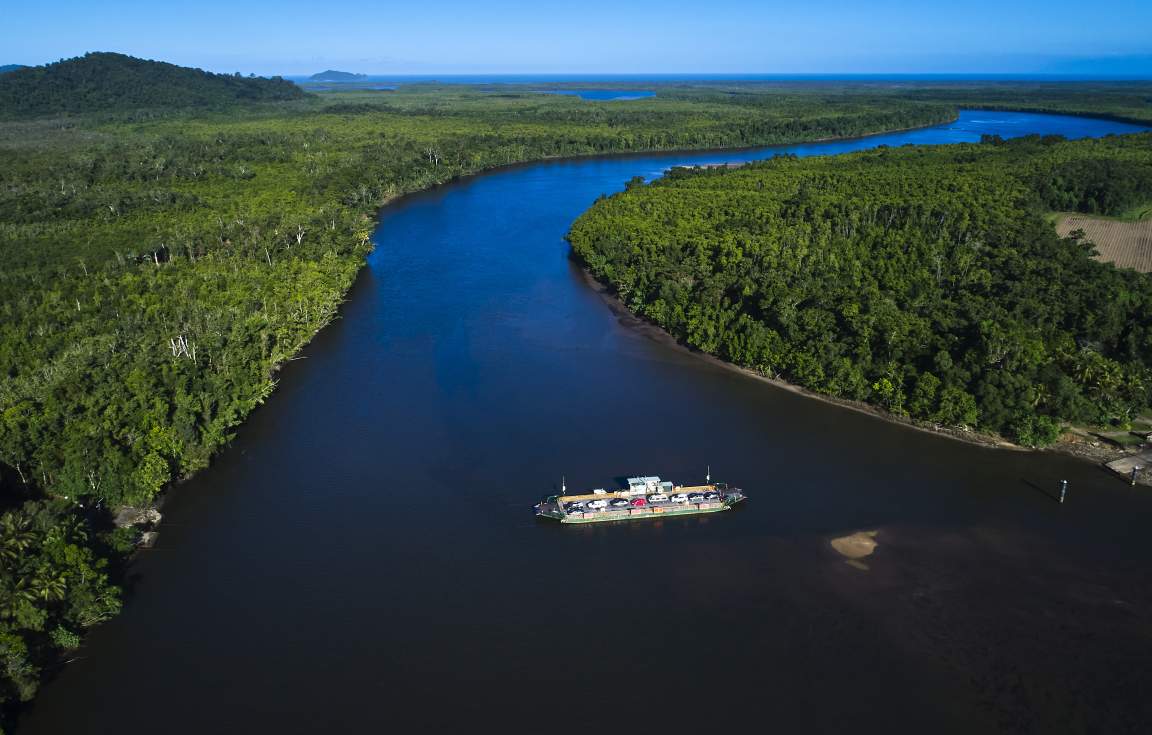 Daintree_Rainforest 