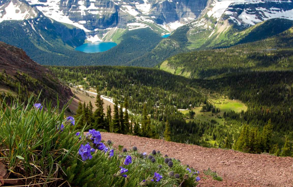 Banff & lake Louise Summer